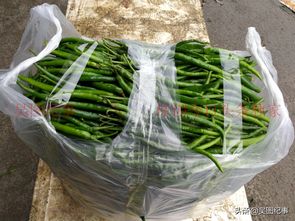 蔬菜批发与零售价差探析 以贵阳时令蔬菜为例