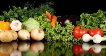 高管辞职卖菜日销售额千万 蔬菜批发的现代转型奇迹