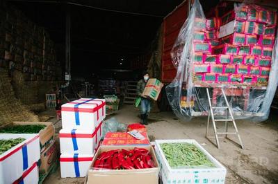 图集实录 探访武汉“菜篮子”保障一线——蔬菜批发市场的日与夜