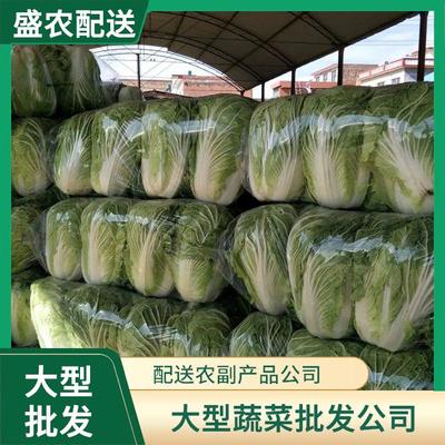 东莞蔬菜配送与批发服务 连接田间与餐桌的现代化桥梁