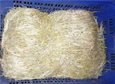 百润祥膳食 从有机农田到工业区餐桌，打造一站式农副产品供应体系