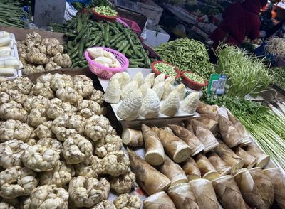 冬日“头口鲜” 冬笋上市助推沪蔬菜批发价格整体下行