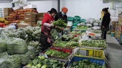 记者走基层 | 凌晨五点，金昌江楠市场 蔬果江湖的“暗夜繁华”