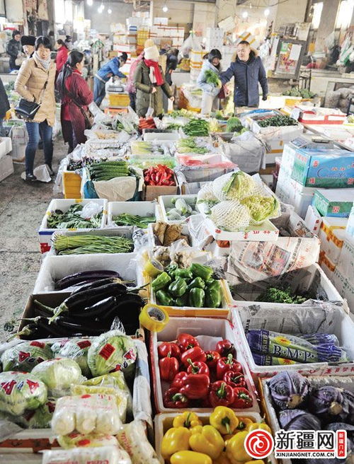 节前乌鲁木齐市场供应量丰价稳 蔬菜批发稳中有序