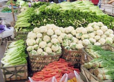从街头小贩到蔬菜批发大户 一条龙经营成就300万家业
