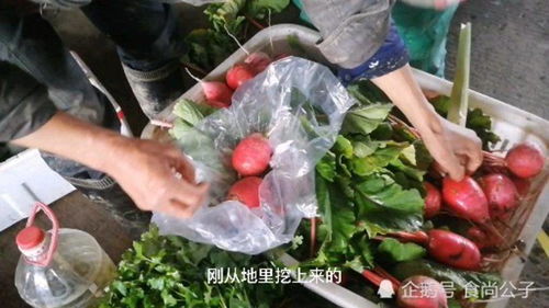 厨房哥探访蔬菜批发市场 菜农云集的清晨盛宴