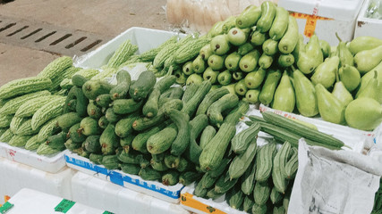 蔬菜批发市场 连接产地与餐桌的重要纽带