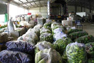 烟台蔬菜批发价格稳定，春节期间市场供应充足