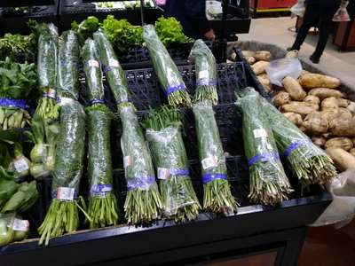 肥城金领绿色蔬菜专业合作社 优质蔬菜种植与批发服务